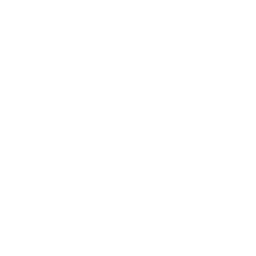 Client 13