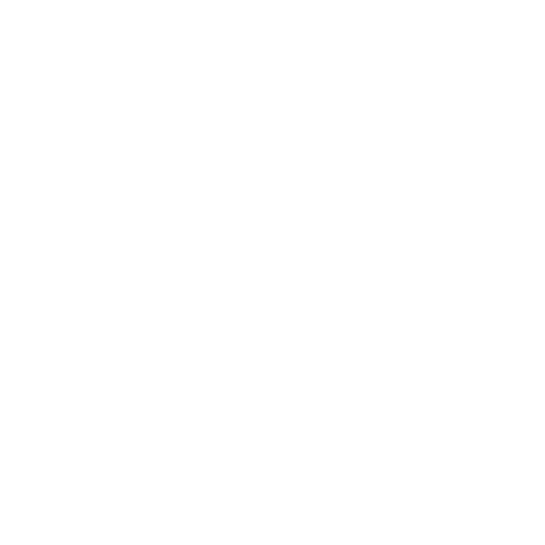 Client 13